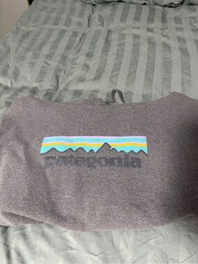 Patagonia Heather Gray Logo Hoodie with Pockets